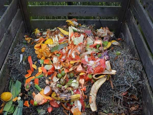 Casa Ecológica ◁ ¿Cómo construir una casa amigable con el medio ambiente y auto sustentable? 🍃 Elaborar compost en una casa ecológica