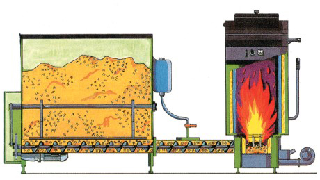 Energía de la biomasa