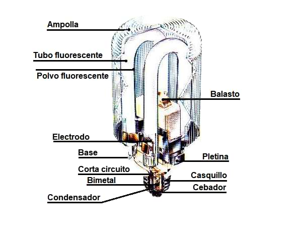 Componentes de una lámpara compacta integrada