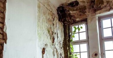 Proteger los muros y ventanas de la humedad